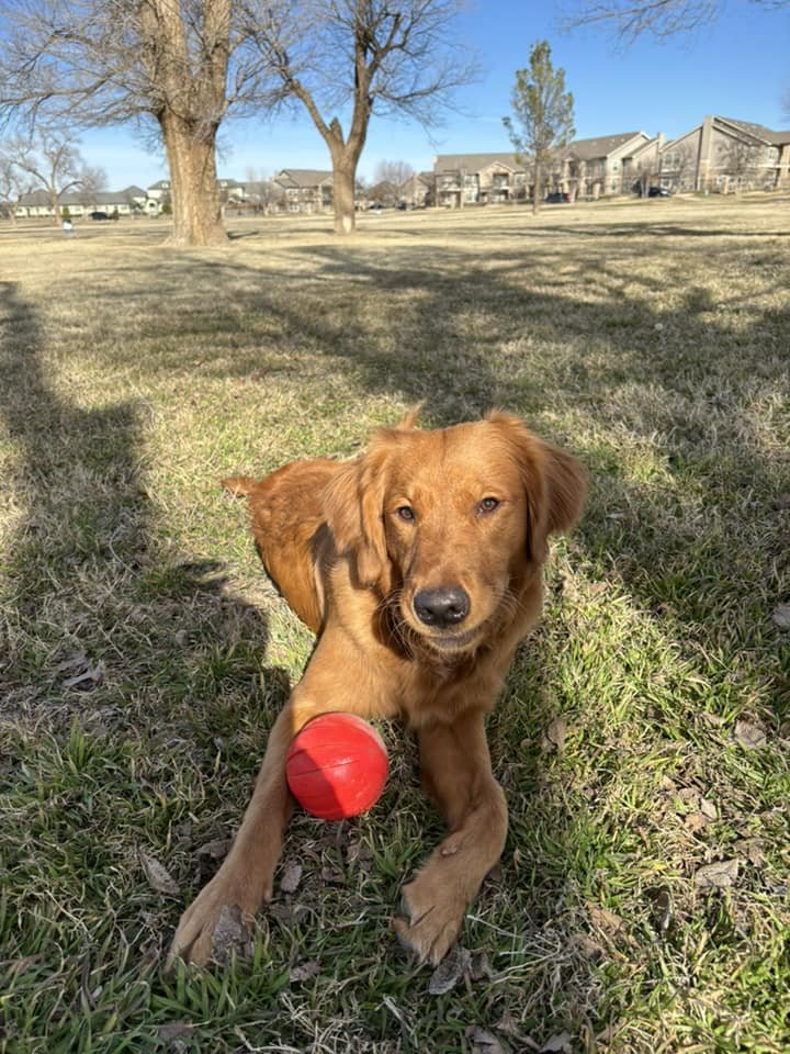 Ginger × Ruger | Spring 2023 photo 2