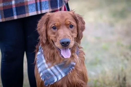 Ginger × Ruger | Spring 2022 photo 1