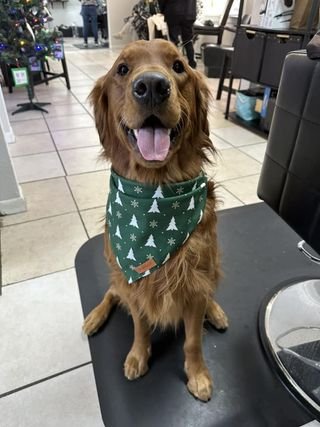 Ginger × Ruger | Spring 2022 photo 3