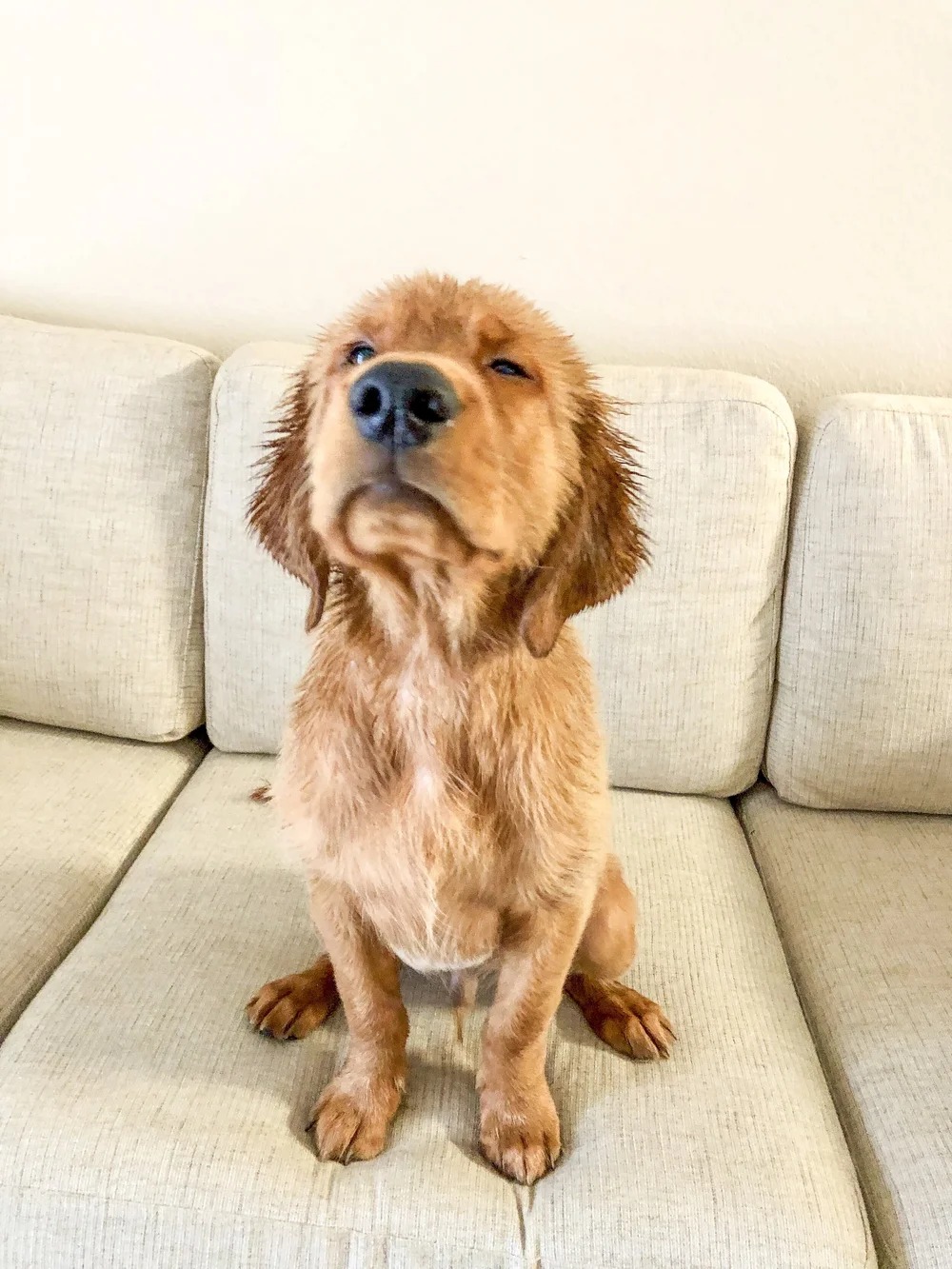 Peanut × Max | Spring 2019 photo 11